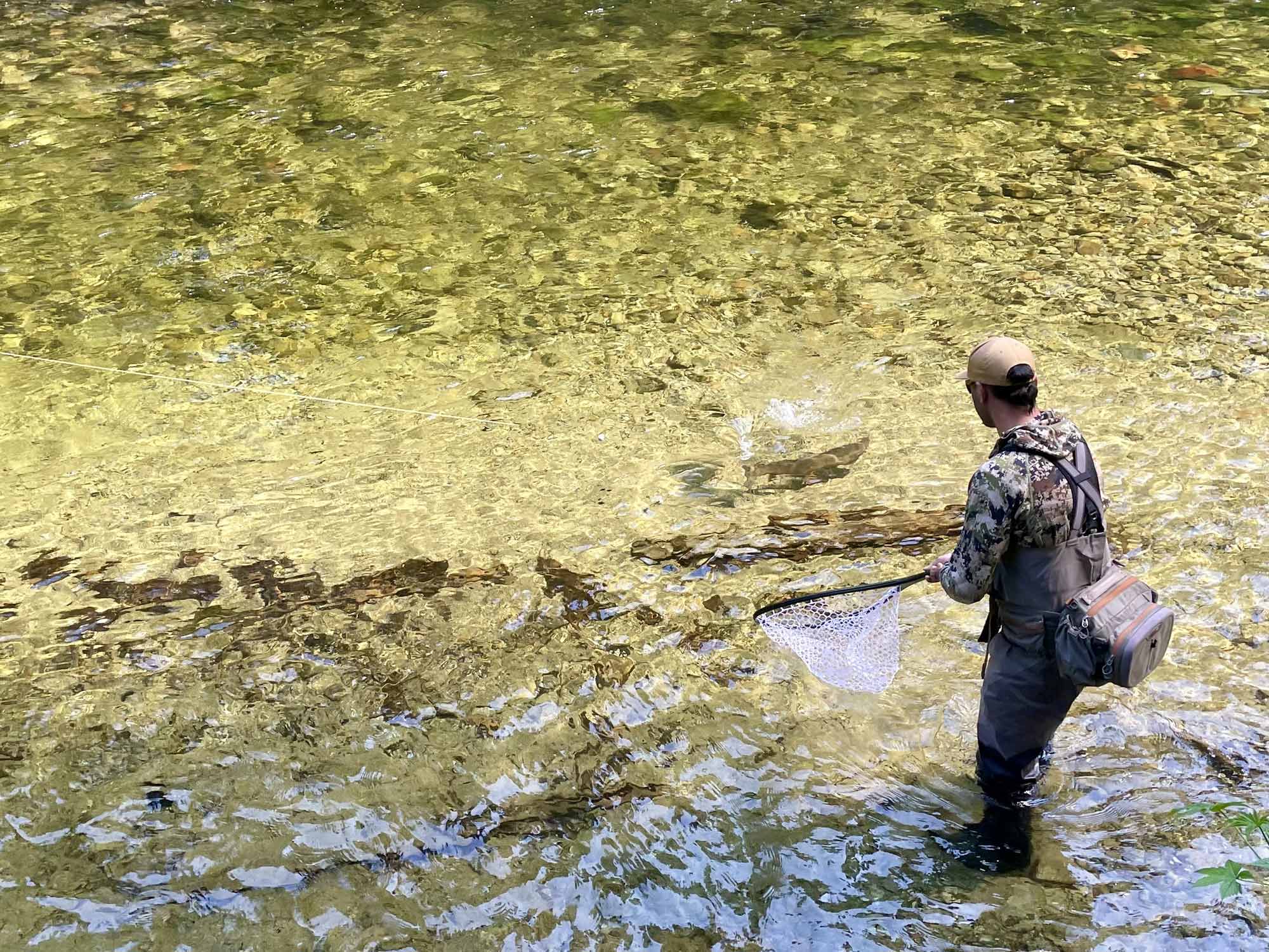 A person wearing waders and camouflage gear stands in a clear, shallow stream, holding a fishing net and looking into the water. The sunlight highlights the rocks and ripples beneath the surface—a scene that perfectly captures the essence of Fly Fishing Idaho during the Fly Fishing Forecast July 8-15 | Sun Valley Idaho.