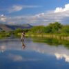 A person fly fishing Idaho in a calm river surrounded by green bushes, with mountains and a blue sky with clouds reflected in the water. This picturesque setting is reminiscent of the serene views highlighted in the Fly Fishing Forecast July 8-15 | Sun Valley Idaho.