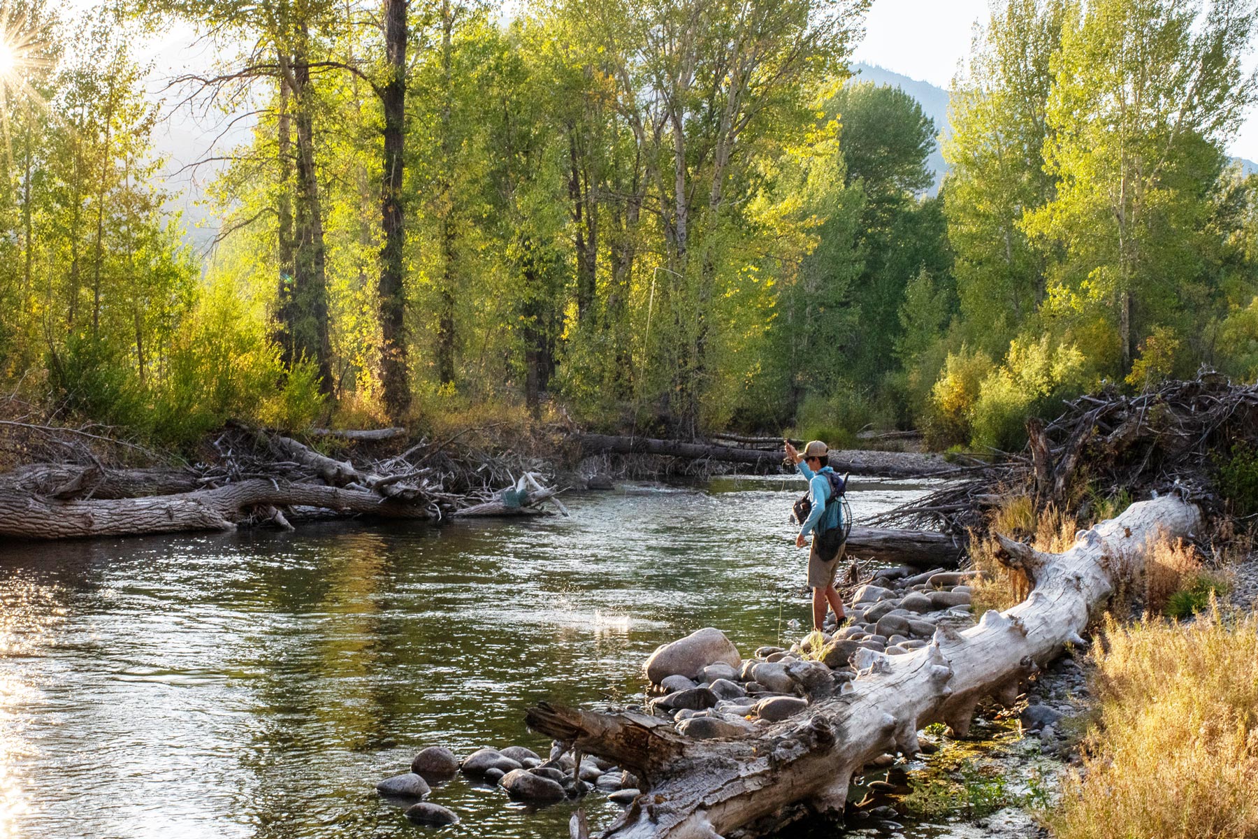 A person stands on rocks by a calm river in a forest, fly fishing with a rod—a peaceful scene reminiscent of winter fly fishing Idaho adventures. Sunlight filters through tall green trees while logs and branches lie along the water’s edge, capturing the quiet beauty often found near Sun Valley fly fishing streams.