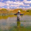A person in waders fly-fishing in a calm river, surrounded by tall grass and trees, with mountains and clouds in the background under a blue sky—a tranquil scene that perfectly captures the essence of Sun Valley Fly Fishing.