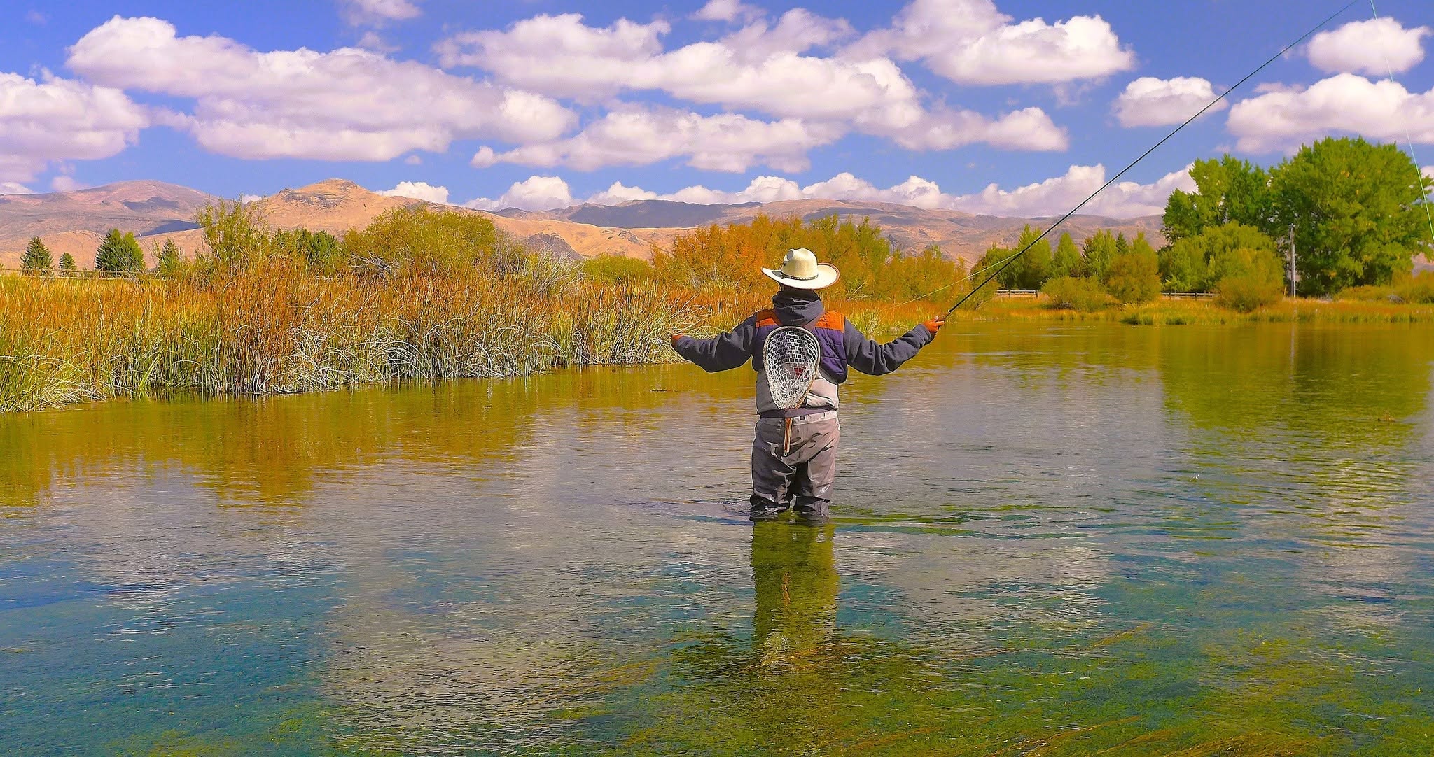 A person in waders fly-fishing in a calm river, surrounded by tall grass and trees, with mountains and clouds in the background under a blue sky—a tranquil scene that perfectly captures the essence of Sun Valley Fly Fishing.