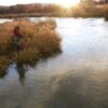 A person in fishing gear stands in tall, dry grass along a riverbank, casting a line into the water toward the sunset during fall fly fishing in Idaho. Silver Creek Outfitters Sun Valley Idaho